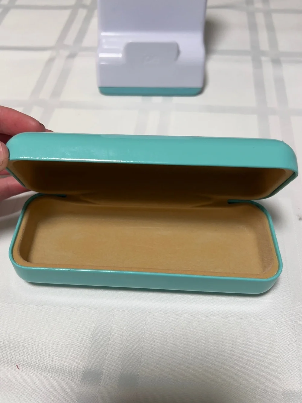 Tiffany & Co. Robin's Egg Blue Glasses Case